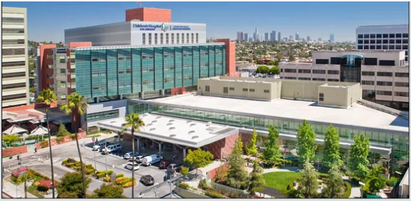 Real Estate Development, Real Estate Broker and Real Estate Investment Company