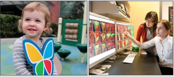 Real Estate Development, Real Estate Broker and Real Estate Investment Company